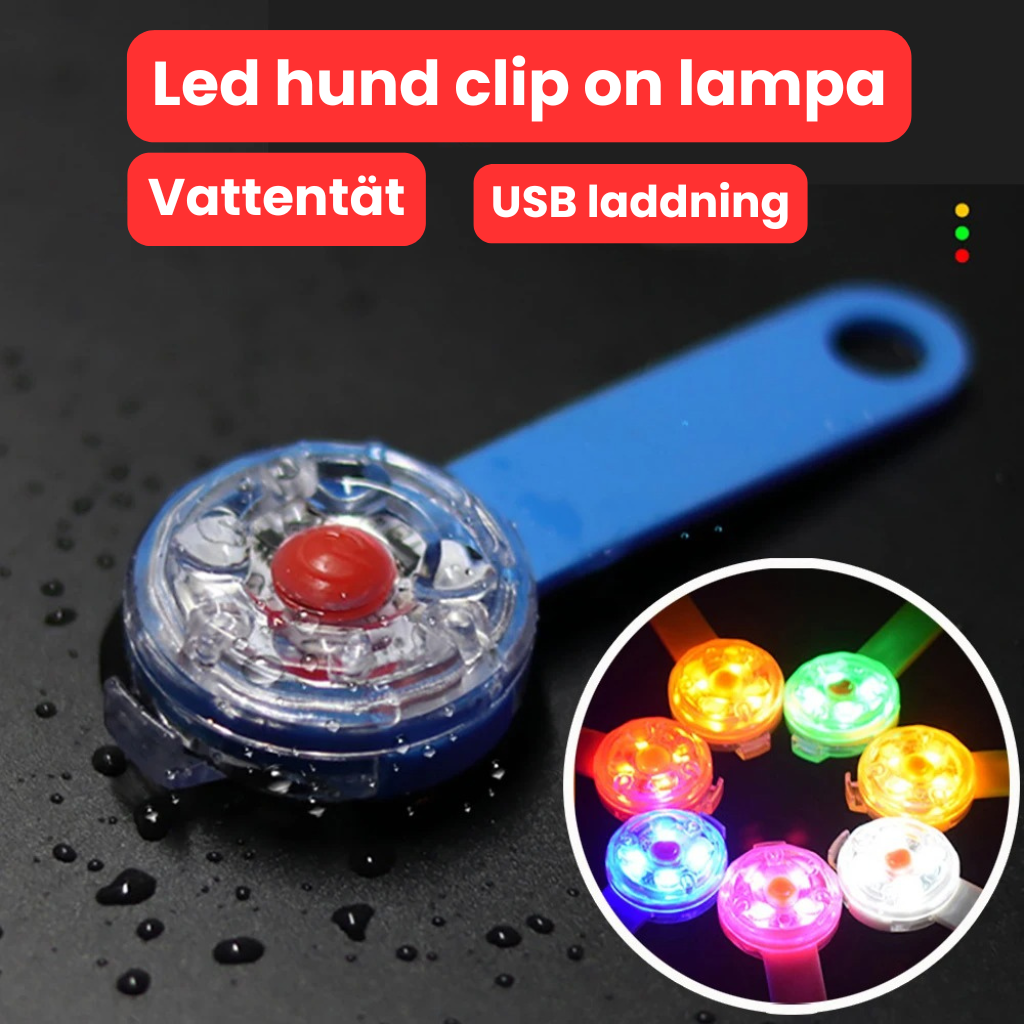 Clip-on lampa till hundhalsbandet