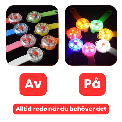 Clip-on lampa till hundhalsbandet