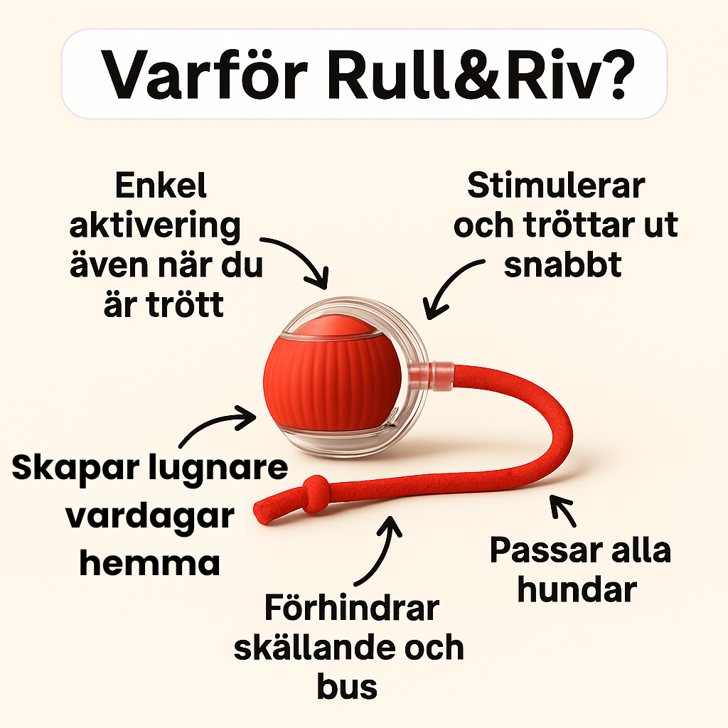 Rull&Riv – Tålig lek. Nöjd hund.