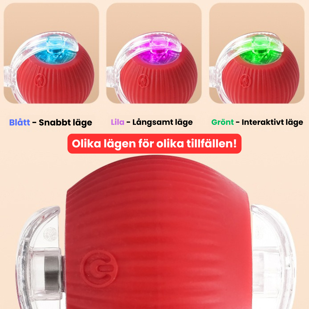 Rull&Riv – Tålig lek. Nöjd hund.